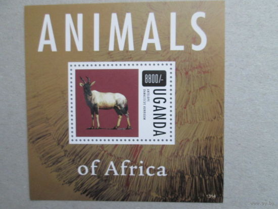 Животные Африки.