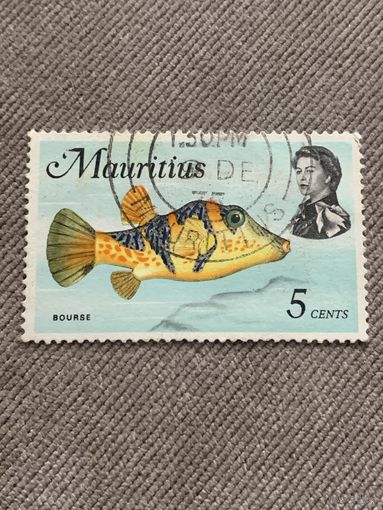 Мавритания. Рыбы. Bourse