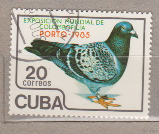 Птицы Фауна Куба 1985 год лот 1075