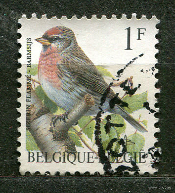 Певчие птицы. 1992. Бельгия