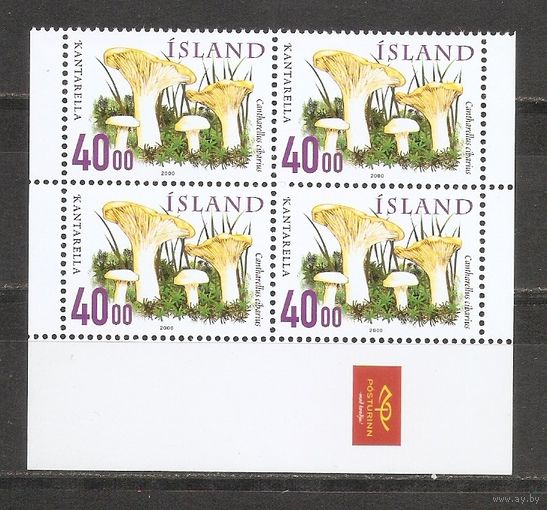 КГ Исландия 2000 Флора Грибы