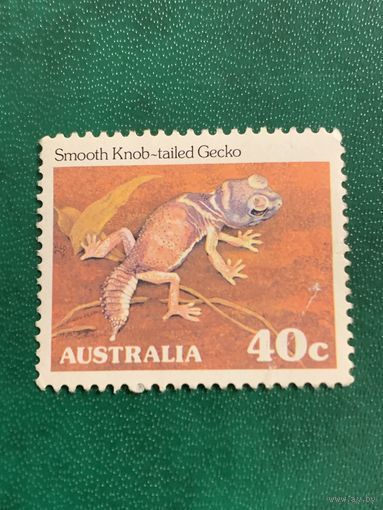 Австралия. Рептилии. Smooth Knob-tailed Gecko