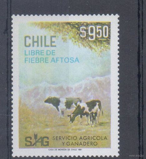 [120] Чили 1981. Фауна.Коровы. MNH