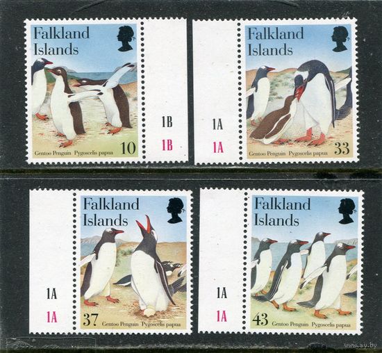 Фолклендские острова. Папуанский пингвин