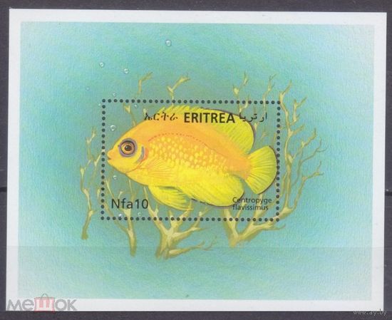 2000 Эритрея 236/B9 Морская фауна  MNH