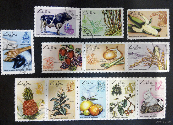 Куба 1969 г. Сельское хозяйство Фауна, две сцепки, полная серия из 12 марок #0013-Ф1P3