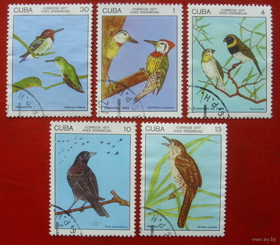 Куба. Птицы. ( 5 марок ) 1977 года. 4-4.