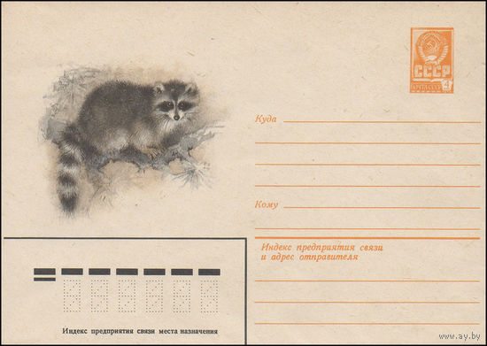Художественный маркированный конверт СССР N 14885 (30.03.1981) [Енот]