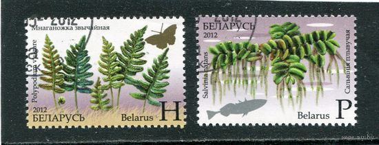 Беларусь 2012.. Растения