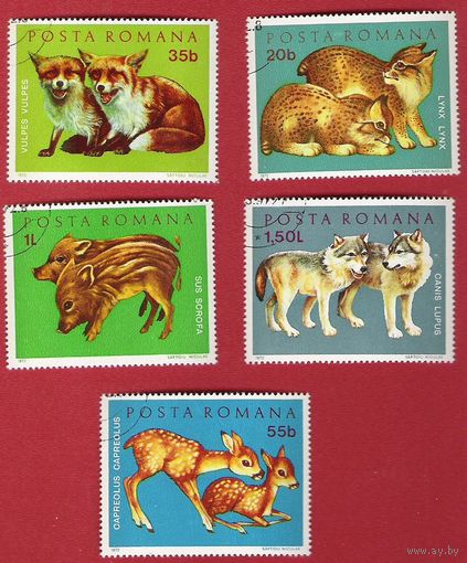 Румыния 1972 Детеныши диких животных