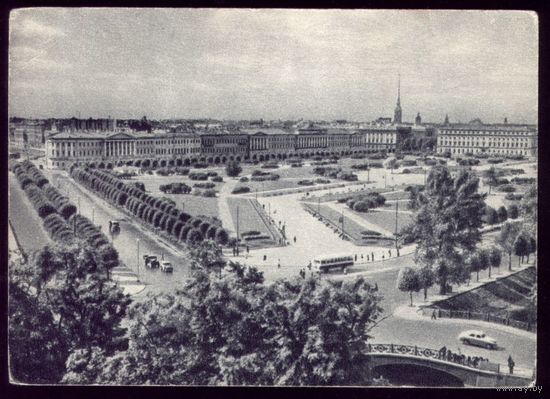1954 год Ленинград Сникерсово поле