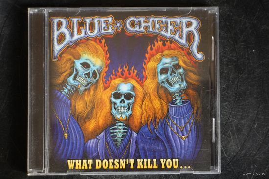 Blue Cheer – What Doesn't Kill You... (2007, CD)