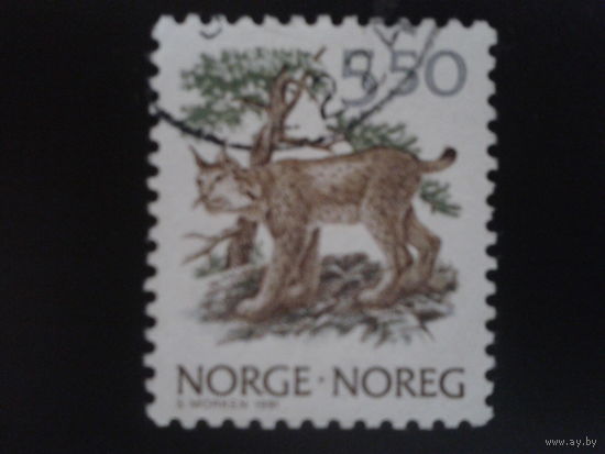 Норвегия 1991 рысь