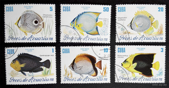 Куба 1985 г. Рыбы. Фауна, полная серия из 6 марок #0251-Ф1P57