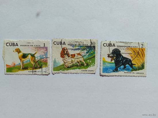 Марки Собаки Куба 1976г  3шт