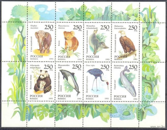 Фауна мира Россия 1993 год (130-137) серия из 8 марок, блок (лист)
