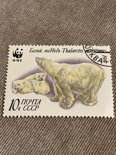 СССР 1987. Белые медведи. Марка из серии
