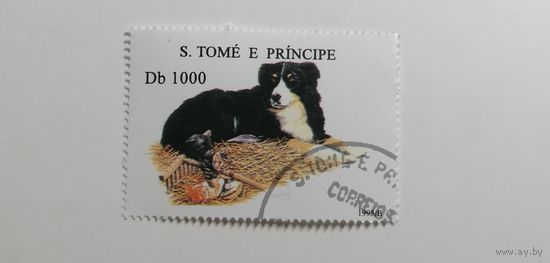 Сан Томе и Принсипи 1995. Собаки