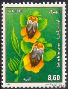 Алжир 1994 флора цветы