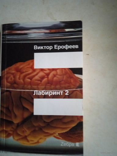 Лабиринт 2.остается одно:произвол