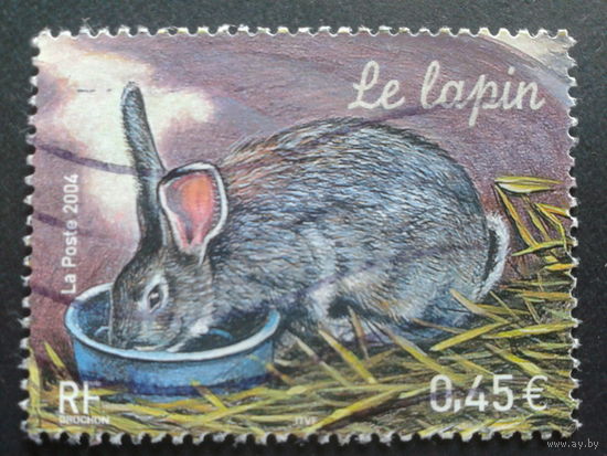 Франция 2004 кролик