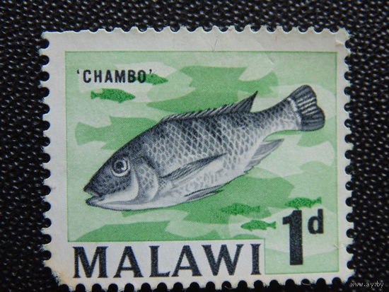 Малави. Рыбы.
