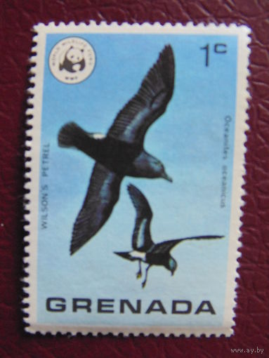 Гренада. Птицы.