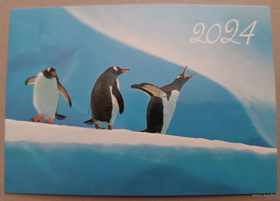 Пингвины. Календарик, 2024, глянец