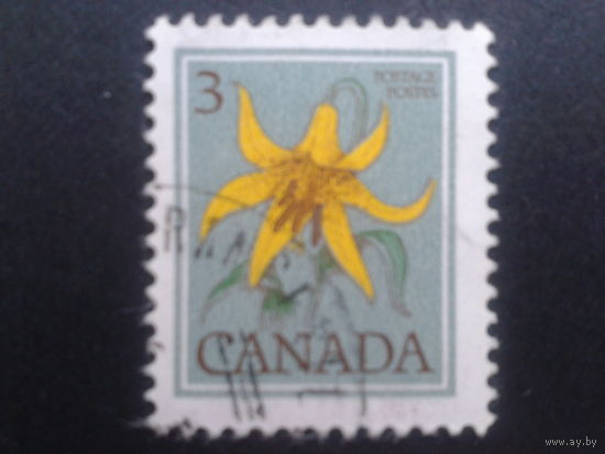 Канада 1977 цветок