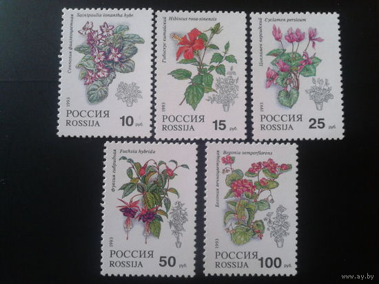 Россия 1993 комнатные растения полная серия Mi-4,5 евро