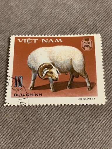 Вьетнам 1979. Домашний скот. Овца. Марка из серии
