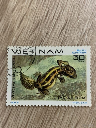 Вьетнам 1983. Рептилии. Teratolepis fasciata. Марка из серии