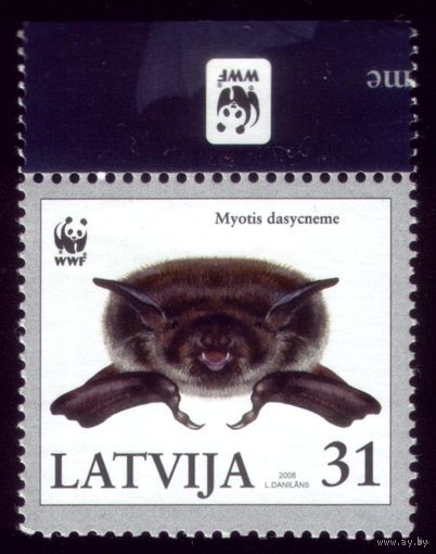 1 марка 2008 год Латвия Летучая мышь 728