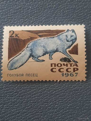 СССР 1967. Голубой песец. Марка из серии