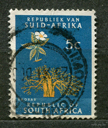 Баобаб. Южная Африка. 1968