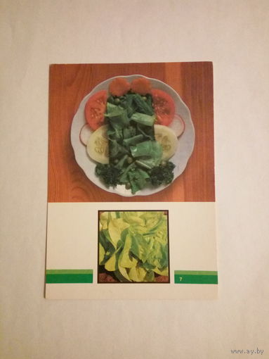 Набор открыток: Блюда из овощей.