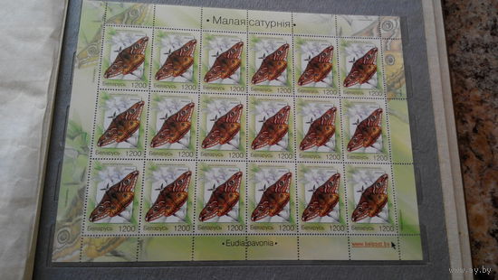 Бабочки, марки, Беларусь, лист (блок), 2004, Малая сатурния, фауна, насекомые