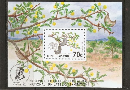 1992 Южная Африка Бопутатсвана Цветы