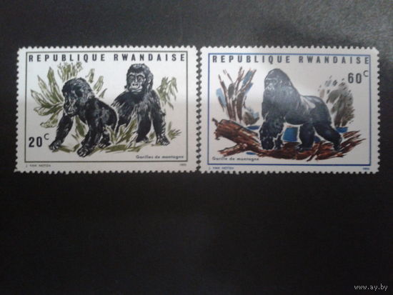 Руанда 1970 обезьяны