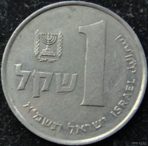 403: 1 шекель 1981 Израиль