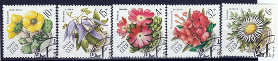 СССР 1981 Цветы Карпат