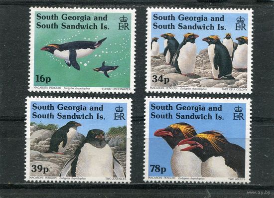 Южная Георгия. Золотоволосый пингвин