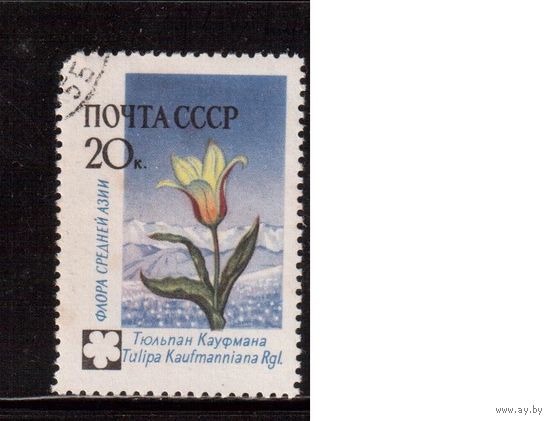 СССР-1960, (Заг.2409)  гаш.,  Цветы