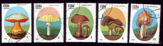 5 марок 1988 год Куба Поганки 3156-3160