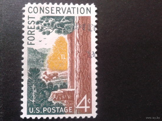 США 1958 сохранить лес