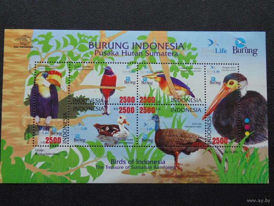 Индонезия. Птицы.