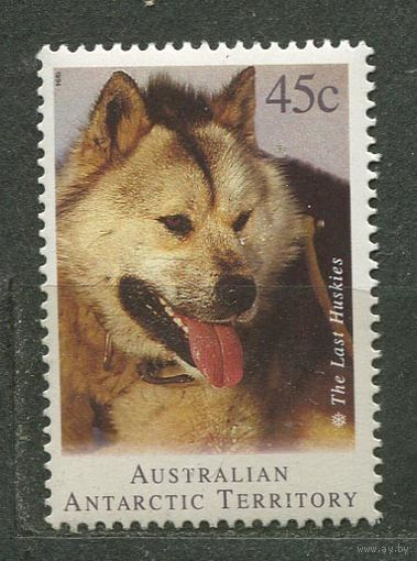 Собака хаски. Австралийские Антарктические территории. 1994. Чистая