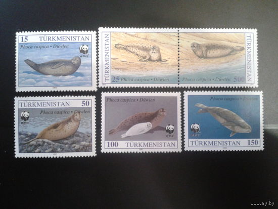 Туркменистан 1993 Каспийские тюлени WWF полная серия