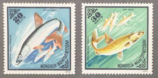 Монголия 1975г Рыбы