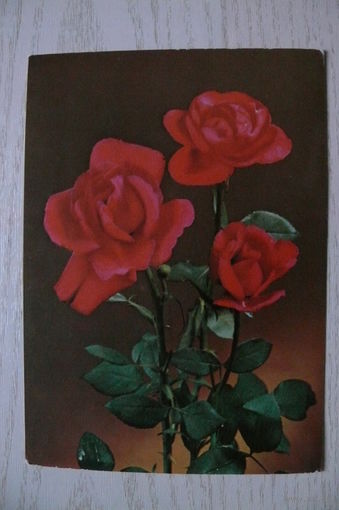 Цветы, розы; 1972, чистая (ГДР).